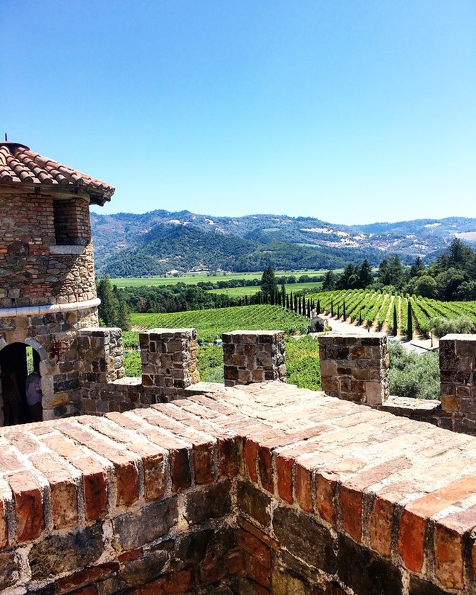 Looking out on the the vineyard at Castello Di Amorosa