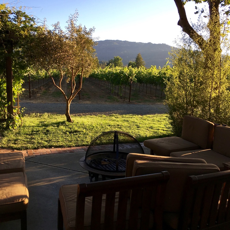 the view of the vineyard from thepatio at the Harvest Inn, Napa