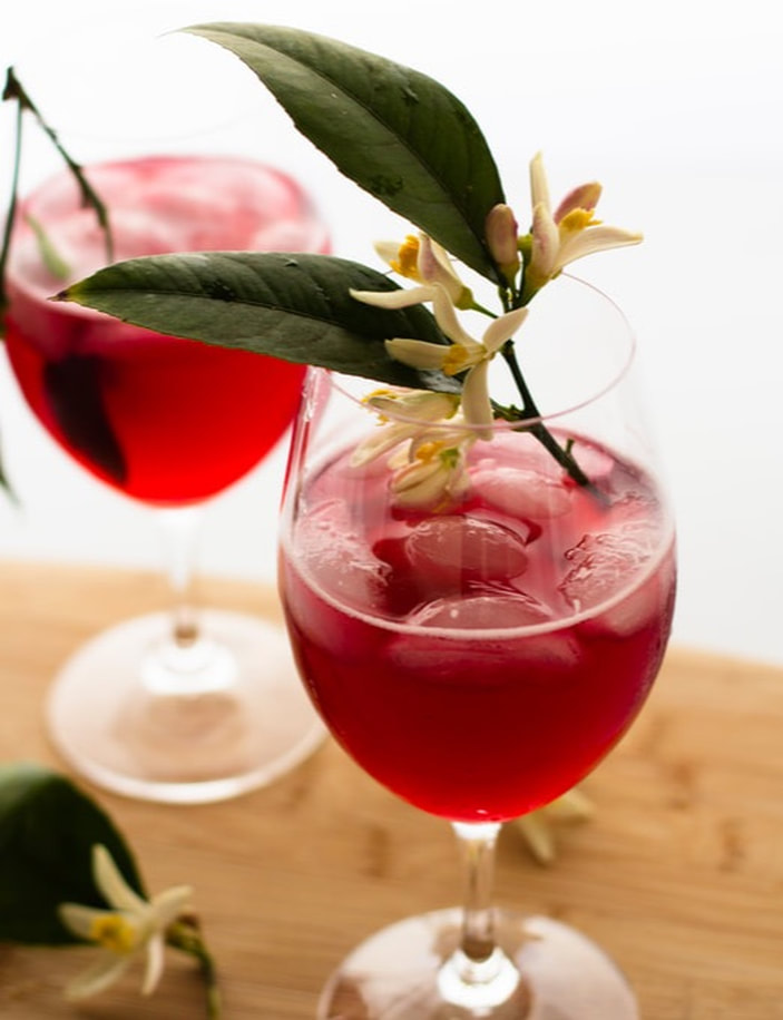 Hibiscus Rose Gin and Tonic
